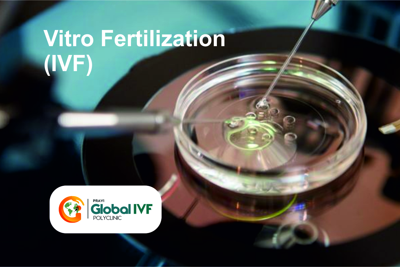 IVF